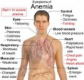 /album/fotogaleria/anemia-jpg/