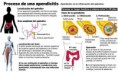 /album/fotogaleria/apendicitis-jpg/